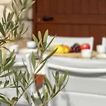 Momo By Interhome Viddalba