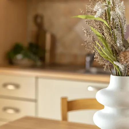 Momo By Interhome * Viddalba