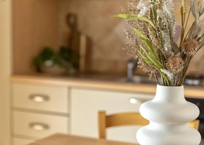 Momo By Interhome * Viddalba